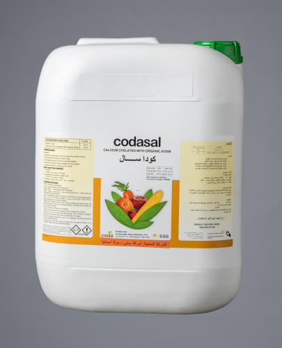 كودا سال