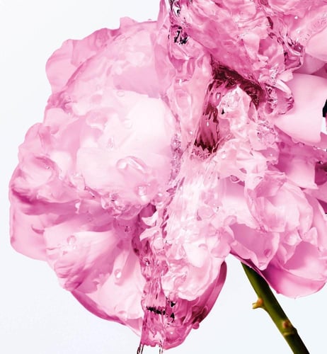 مس ديور حليب مرطب للجسم بشمع الورد 175 مل