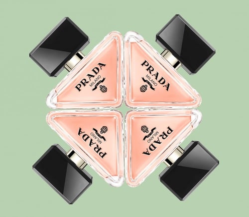 برادا بارادوكس او دو بارفان