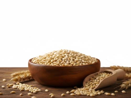 شعير ني ( تلبينه )