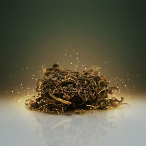 ورق الهندباء الأصلي