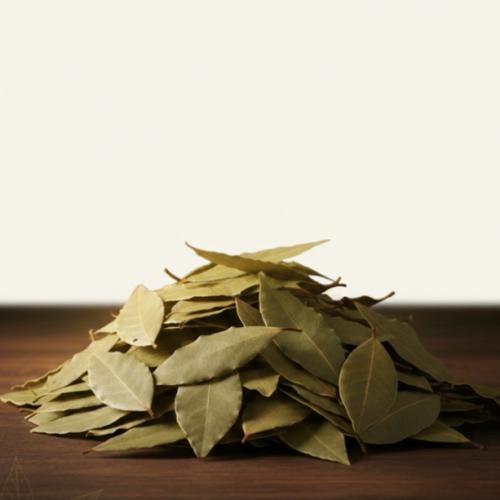 ورق غار هندي