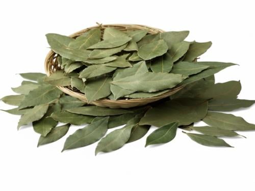 ورق سدر بلدي أصيل