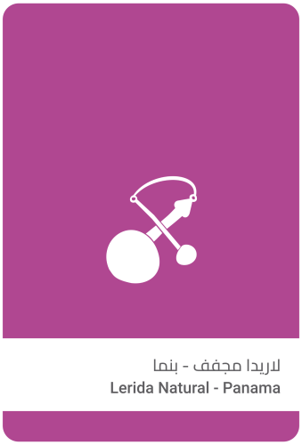قهوة بنما لاريدا مجفف 100g سلالات