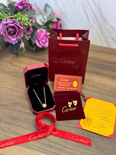 طقم كارتير مع الملحقات