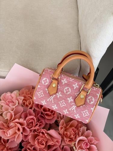 شنطة لويس فيتون سبيدي