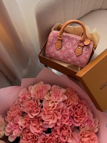 شنطة لويس فيتون سبيدي