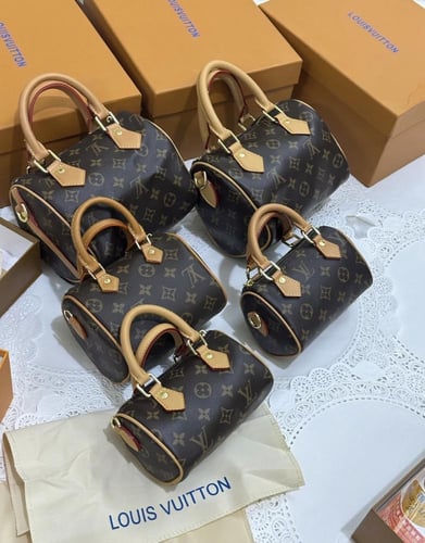 شنطة لويس فيتون سبيدي