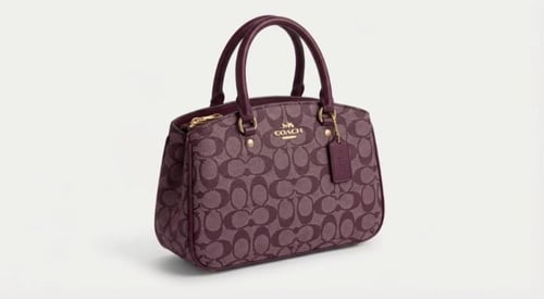 شنطة كوتش توت باق