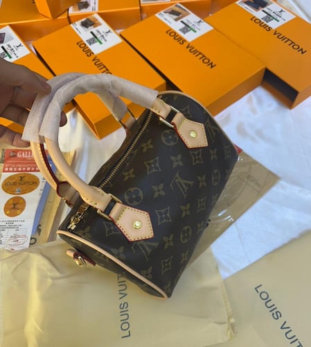 شنطة لويس فيتون سبيدي