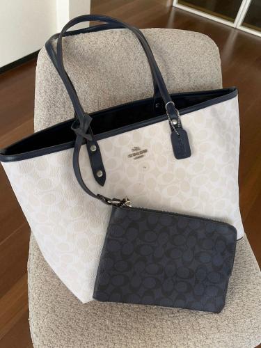 كوتش توت باق