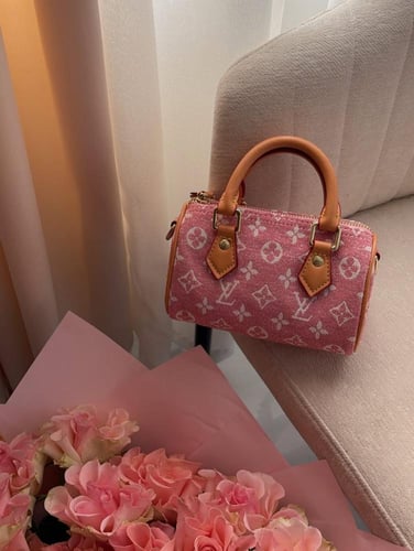 شنطة لويس فيتون سبيدي