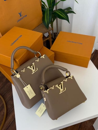 شنطة لويس فيتون كابسين