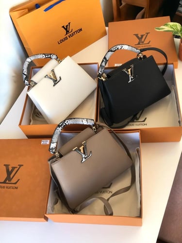 شنطة لويس فيتون