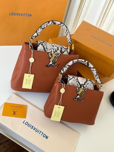 شنطة لويس فيتون كابوسين