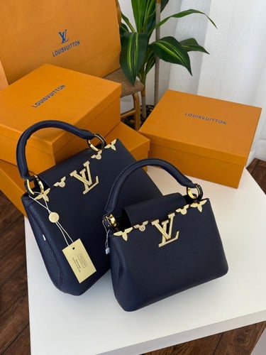 شنطة لويس فيتون كابسين