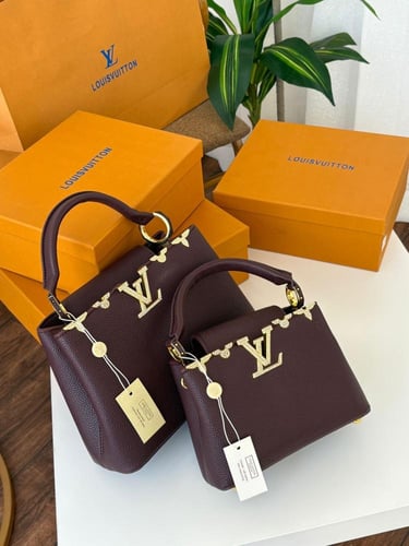 شنطة لويس فيتون كابسين