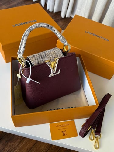 شنطة لويس فيتون كابسين