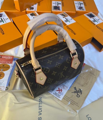 شنطة لويس فيتون سبيدي