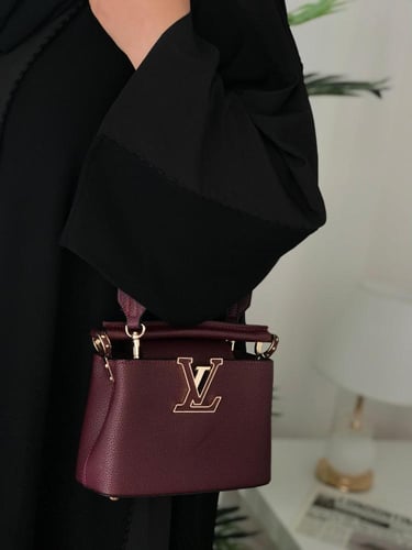 شنطة لويس فيتون