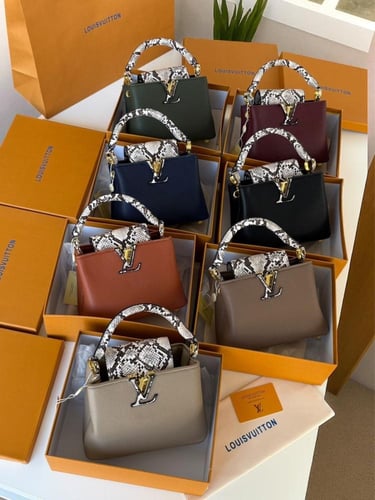 شنطة لويس فيتون كابوسين