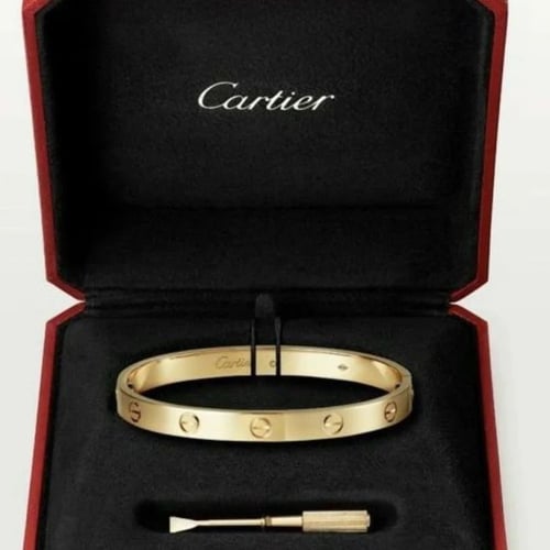 اساور كارتير مع الملحقات