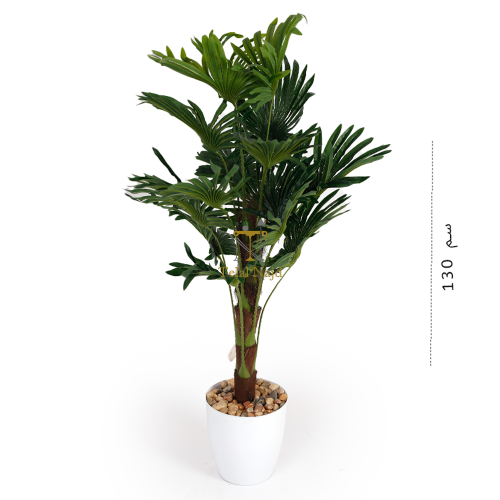 شجرة بمركن أبيض ارتفاع 170سم