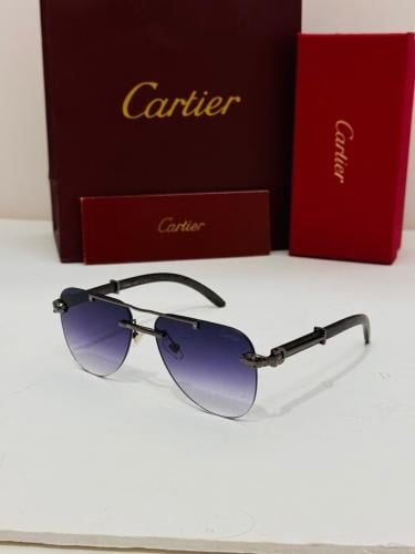 نظارة شمسية كارتير للجنسين
