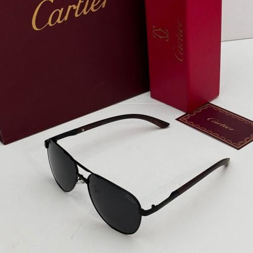 نظارة شمسية رجالية كارتير