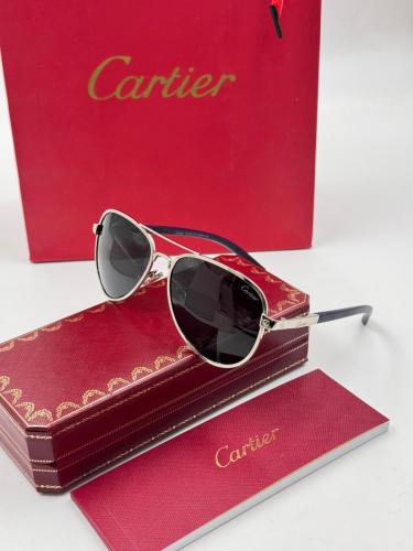 نظارة شمسية رجالية كارتير