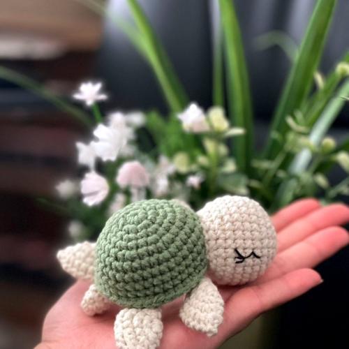 سلحفاة دمية لون أخضر معتدل