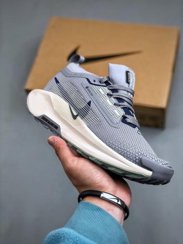 نايكي بيجاسوس تريل 5 جور-تكس رصاصي