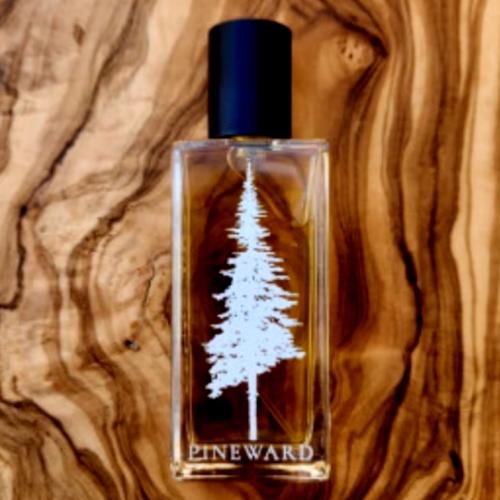 Noki Pineward Perfumes