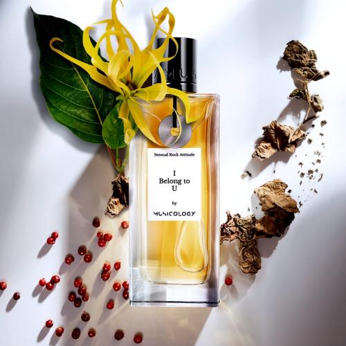 I Belong To U Musicology