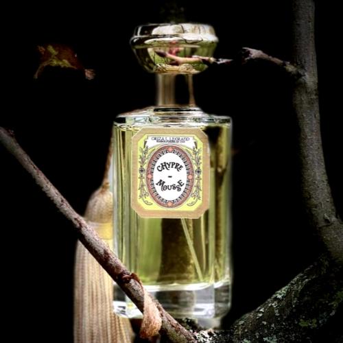 Chypre Mousse Oriza L. Legrand