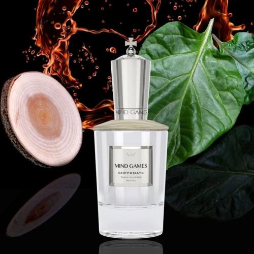 Checkmate Mind Games