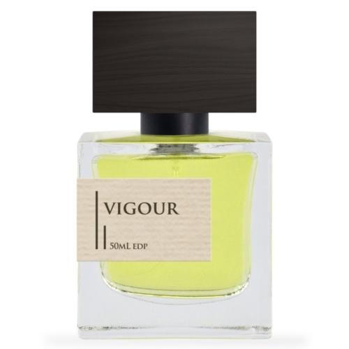 Vigour Criminal Elements