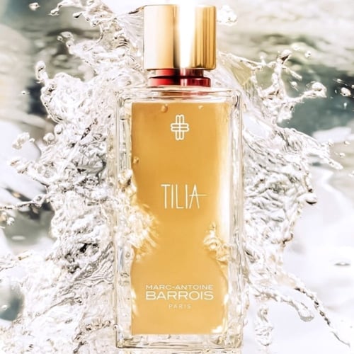 Tilia Marc Antoine Barrois