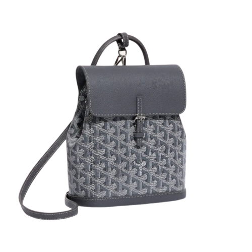 شنطة ظهر قويارد ميني | Goyard mini backpack