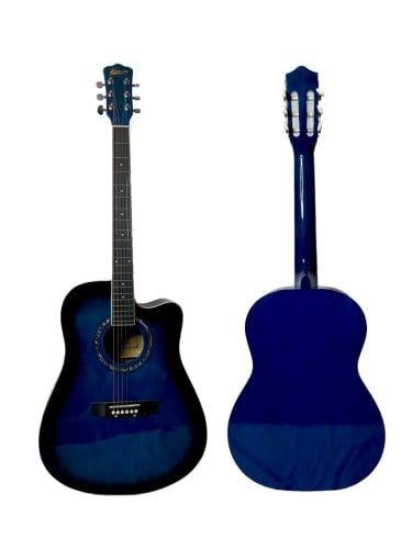 جيتار اكوستيك ماركة TREE ROOT