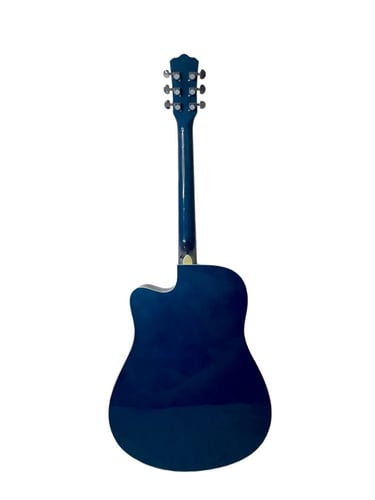 جيتار اكوستيك ماركة TREE ROOT