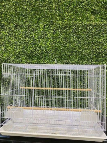 Bird cage 601