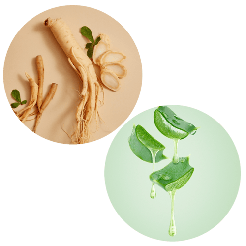 شامبو شعر يومي كلارا 300مل - Clara Daily Hair Sham...