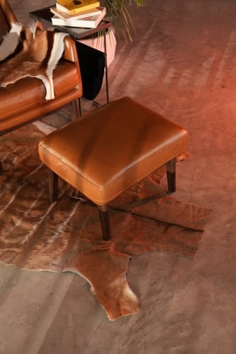 غزال الكودو - Kudu