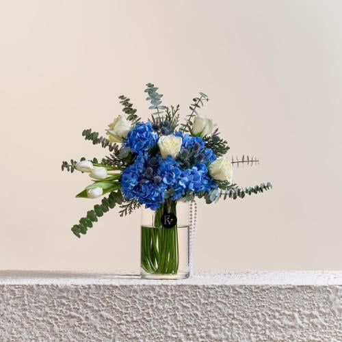 FY.25 الفازة السماوية