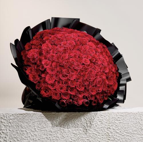 Bouquet 500 roses