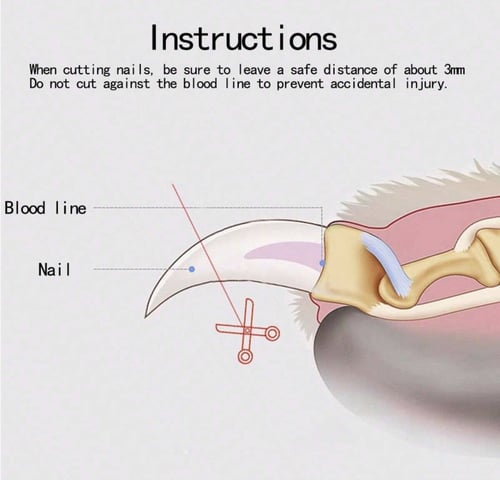 مقص اظافر للقطط مع مبرد