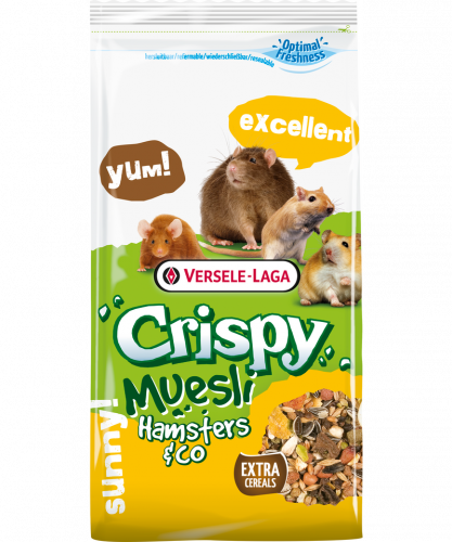 فيرسل لاقا طعام الهامستر