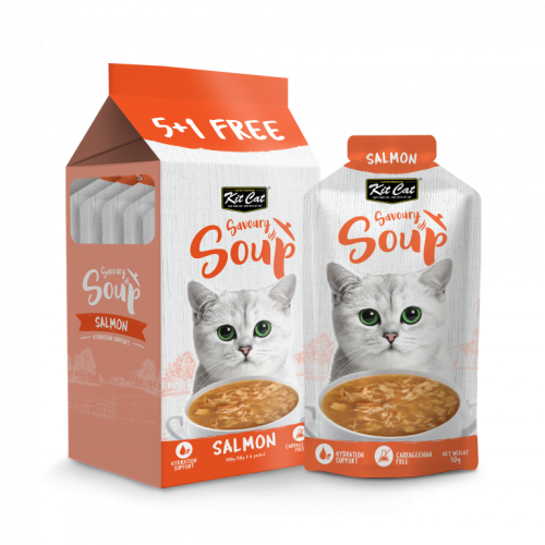 كت كات اظرف الحساء بالسالمون 50X6غ