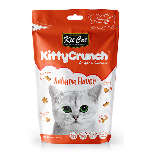 مكافاة كت كات بالسالمون 60غ